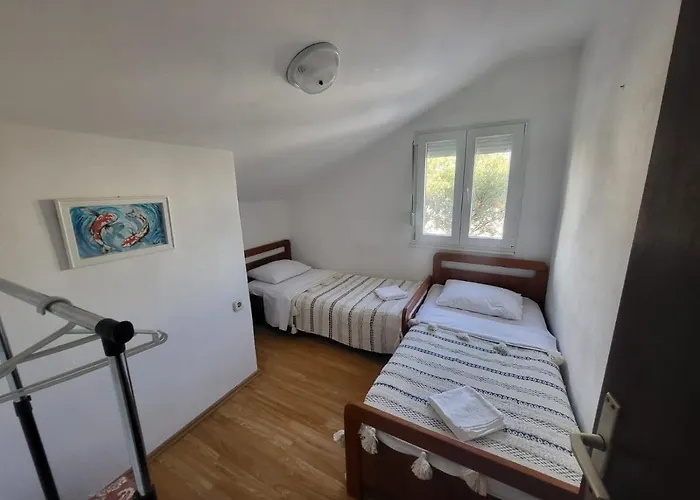 Leona Rogoznica (Sibenik-Knin)